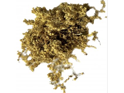 4AB11F5F 6289 480F 88B0 35D0639CC929