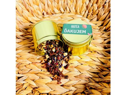 ĎAKUJEM